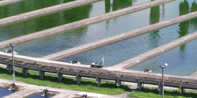 Форелевое хозяйство Адлера Форелевое хозяйство Адлера