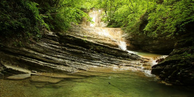 Общая информация и история Пшады Общая информация и история Пшады