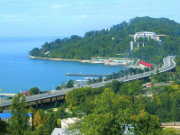 Хоста